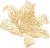 The Unique - Spa & Wellness